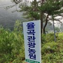 여행숲