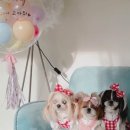 너랑 온 이미지