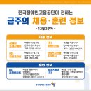 하이즈항공주식회사 이미지