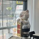 원평공용주차장 이미지