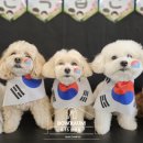 바우라움 메인캠퍼스 이미지