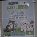 견우동물병원 - 광주시 태봉로 26 | 견우동물병원