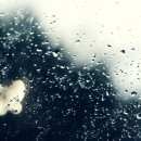 그대 안에그대 이미지