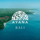 (주)아야나(Ayana) 이미지
