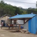 송라목장 이미지