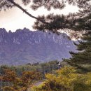 소노펠리체 빌리지 델피노 | 강원도 고성 소노펠리체 빌리지 델피노 실버 마운틴 뷰, 스파 유끼바나테라피 후기