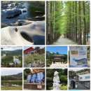 주천면-3(의호총) 이미지