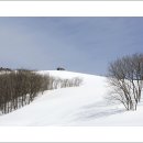 춘삼월목장 이미지