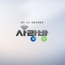 신세기미용