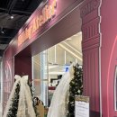 더루시 | 더현대 대구 크리스마스 마켓 팝업 후기 :: 루시아이 트리 천국🎄