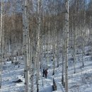 원남로-18 이미지