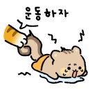 더블에스플라이 이미지