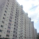 알프스공인중개사사무소 이미지