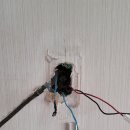 광성비디오 이미지