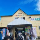 상혁농장 | 일본 삿포로 | 흰그림자 비에이 후라노 투어 후기 6 - 사계채의 언덕