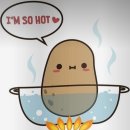 토마토어학원 이미지