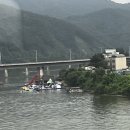 해보듬이 펜션 | 애니모어(AniMore) 유기견 봉사 후기💖