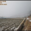 대강면 평촌마을 이미지