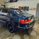 유일광택 이미지