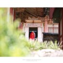 하늘달팽이 이미지