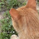 갓생 그거 나도 좀 해보자