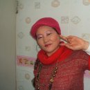 손*순 - 안양시 동안구 관악대로106번길 | 손*순