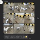 싱글몽글 이미지