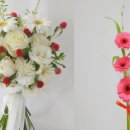 오색카써비스 이미지