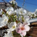 한길농원 이미지