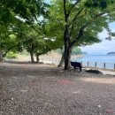 초전마을야영장 이미지