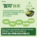 인큐텐라이프