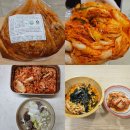 그냥집밥 | 집밥이 즐거워지는 이유, 짐치원 포기김치 솔직후기