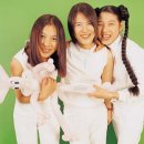 한스밴드 카카오 검색결과