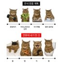 이마트24 관악신림빌리지점 | 쿨쩝킥뿡 #2025.10