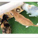 아이조아 요양보호소 경기광주 이미지