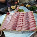 꽃섬해물 | 광주 첨단 방어 횟집 [꽃섬] 대방어 4인짜리 내돈내산 후기! 재방문의사 200%!