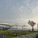 네모미음 이미지