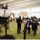 스프링가든 이미지