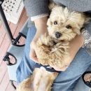 발라당눕스 이미지