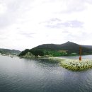 백도민박 이미지