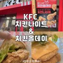 버거데이 | KFC 1+1 치킨올데이 치킨나이트 버거 메뉴 후기
