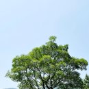 윤돌커피 이미지