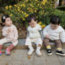 아이랑어린이집 이미지