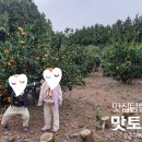 제주바다장어탕 이미지