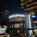 헤이든 | 부산 광안리 블루엘리펀트 안경 내돈내산 후기 | 헤이든 호피 뿔테 구매
