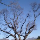 대구현풍초등학교 이미지