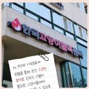 한국고양이혈액센터 이미지