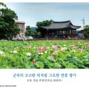 향기가있는풍경 이미지