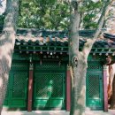 태하 성하신당 | 울릉도 버스여행/서면 태하 성하신당, 향목모노레일