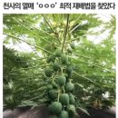 부자작물재배